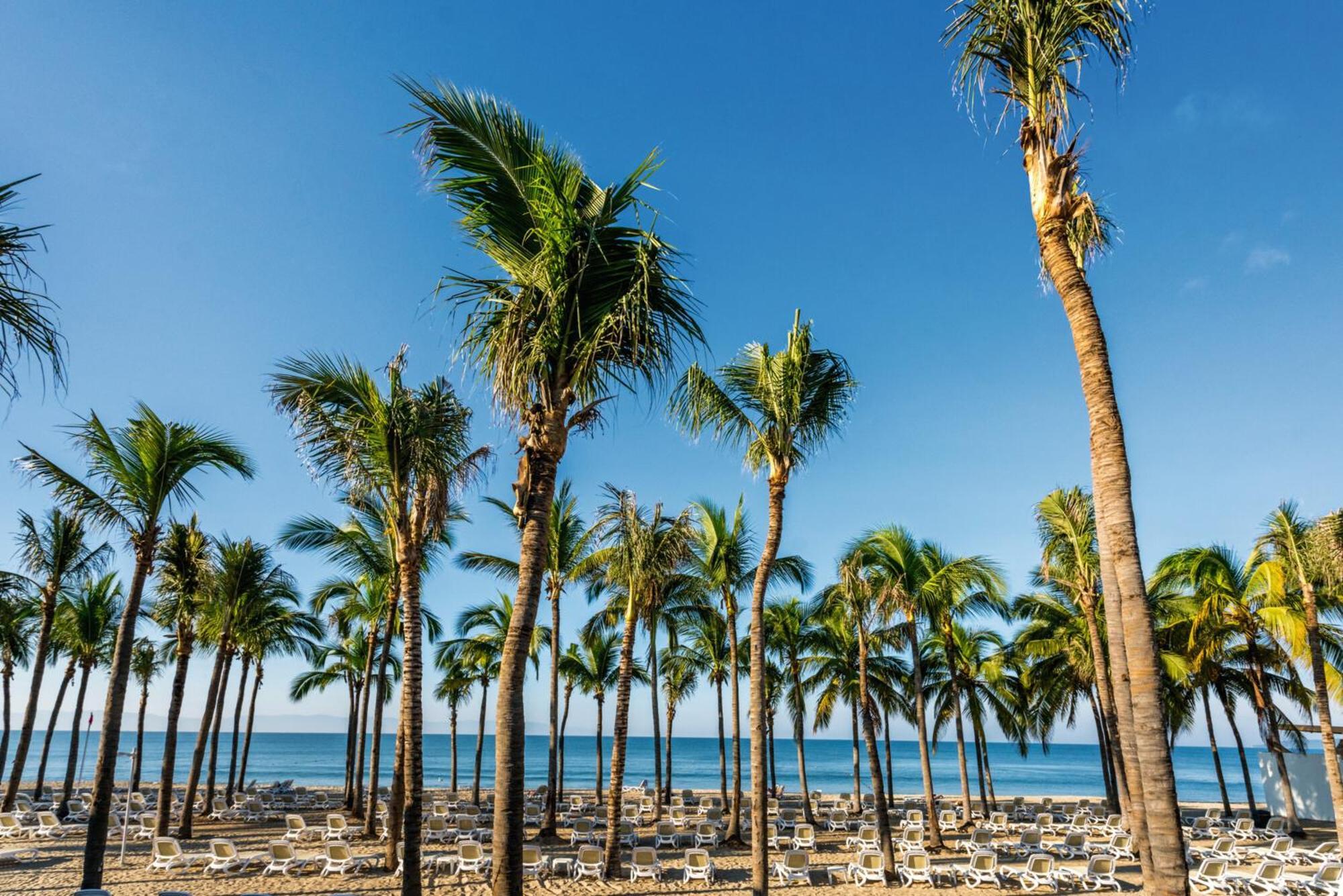 Riu Vallarta Nuevo Vallarta Eksteriør billede